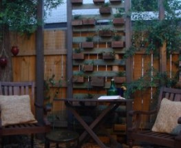 BIG BACKYARD REVEAL