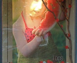 WINDOW DISPLAY- BUDDING BRANCHES