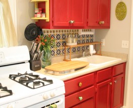 MEXICAN INSPIRED KITCHEN- AMANDA’S APARTMENT