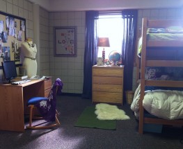 BOLD AND BEAUTIFUL DORM ROOM DESIGN