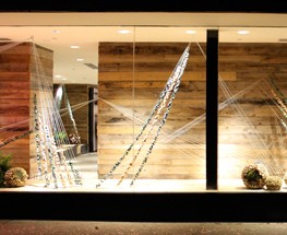 My Anthro Displays-Cork and Plant Windows