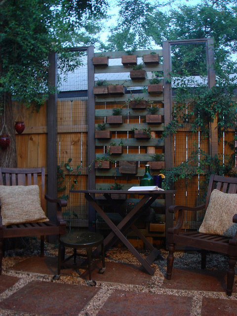 Big Backyard Clean Up