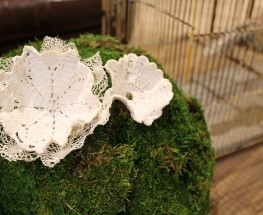 DIY Doily Bowls/Flowers