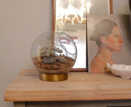 DIY Terrariums = Great Gift Idea