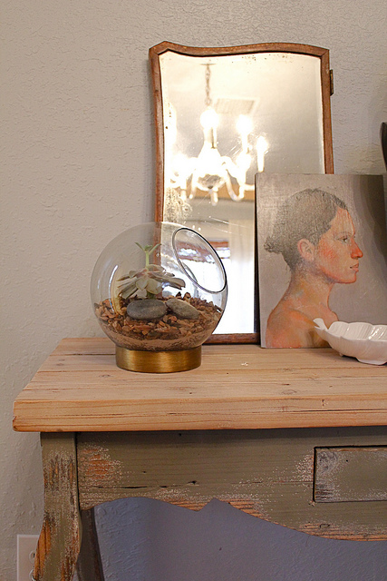 DIY Terrariums = Great Gift Idea
