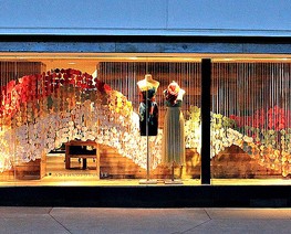 My Anthropologie Displays