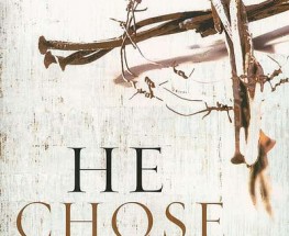 Set of Grace Filled Stories