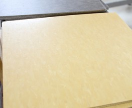 Flooring Options & An Interesting Choice