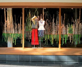 Anthro’s Fall Windows