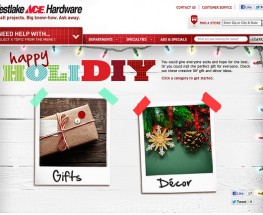 Ace Hardware HoliDIY Guide
