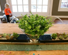 Succulent & Safety Deposit Box Center Piece