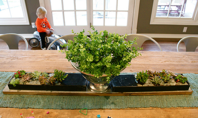 Succulent & Safety Deposit Box Center Piece