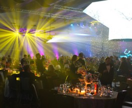 Faceted Centerpieces