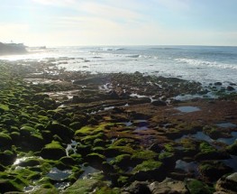 ROAD TRIP- CALIFORNIA COAST