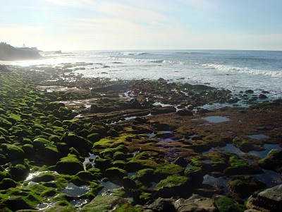 ROAD TRIP- CALIFORNIA COAST