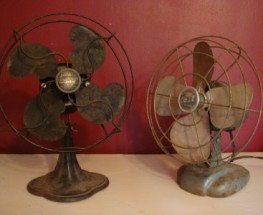 VINTAGE BEAUTIES BROUGHT BACK TO LIFE
