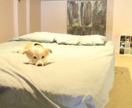 Mini Master Bedroom Makeover