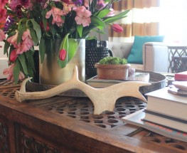 The Perfect Accessory For Every Room